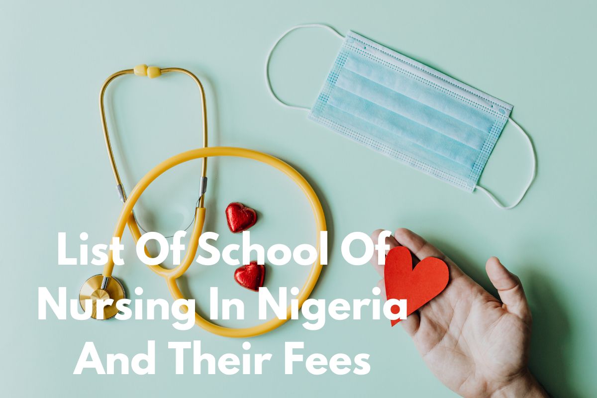 List Of School Of Nursing In Nigeria And Their Fees