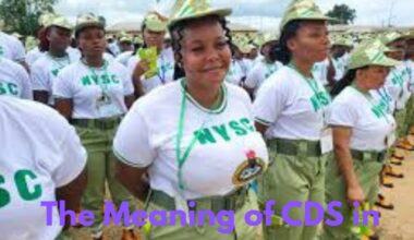 The Meaning of CDS in NYSC