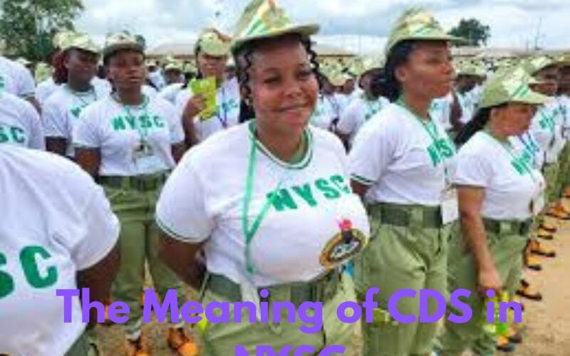 The Meaning of CDS in NYSC
